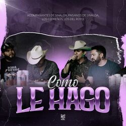 Cover of Como Le Hago (En vivo)