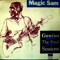 Cover of Genius - The Final Sessions
