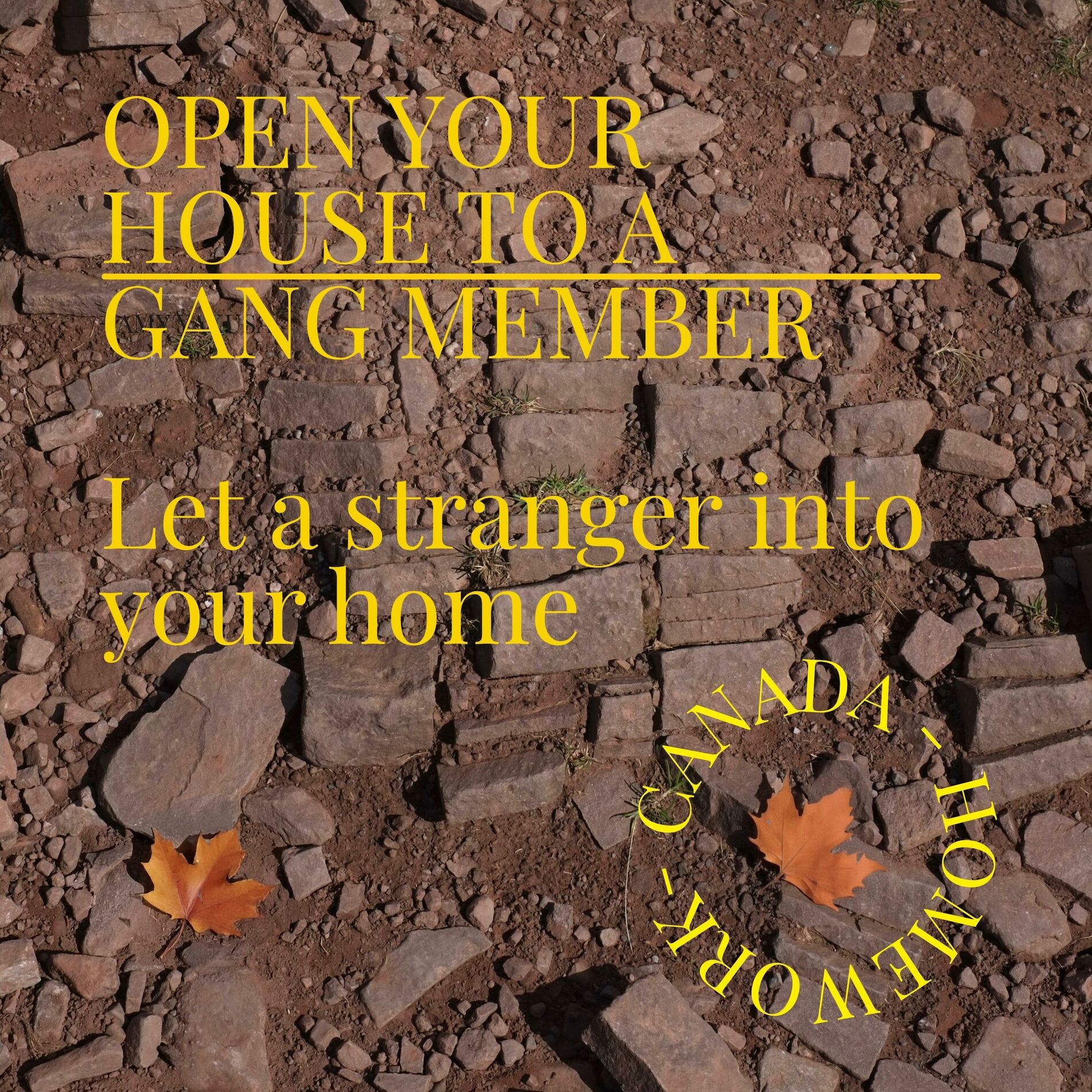 Album cover of Homework
