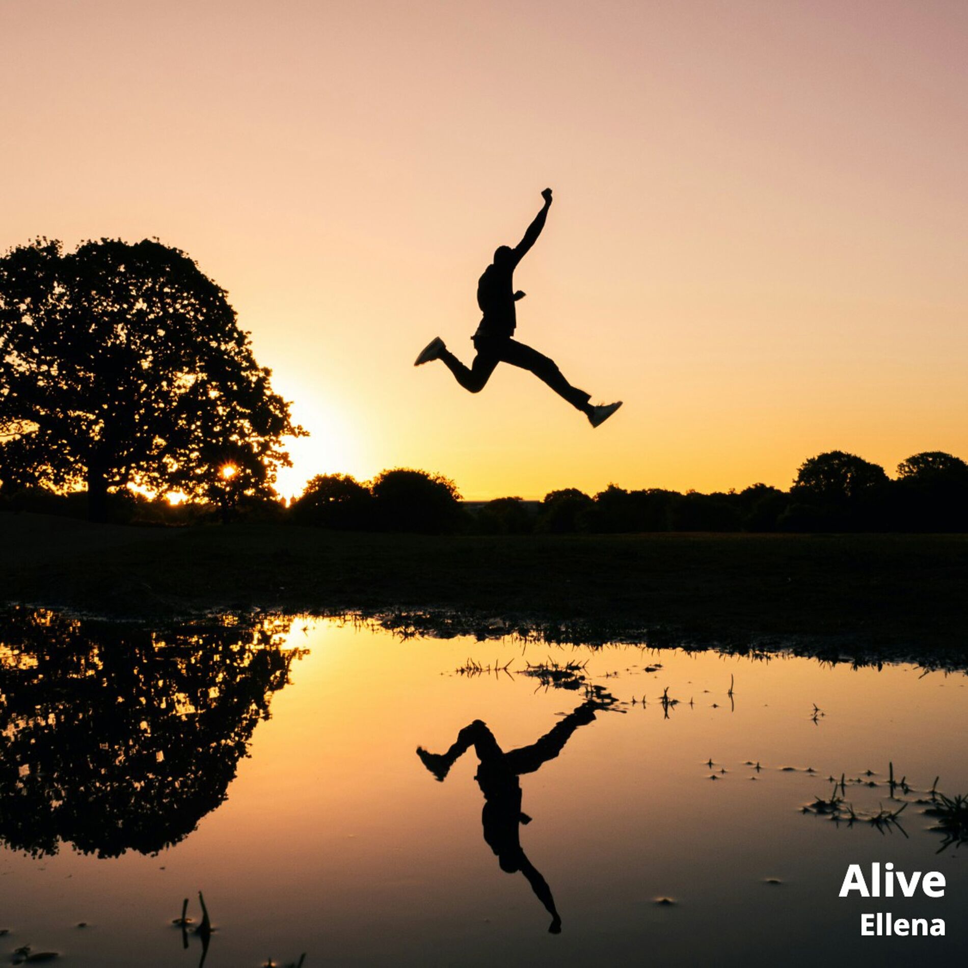 Album cover of Alive