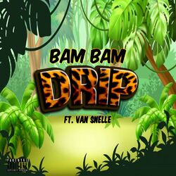 Cover of Drip