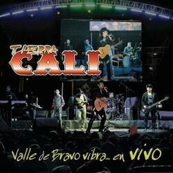 Cover of Valle de Bravo Vibra... en Vivo