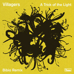 Cover of A Trick of the Light (Bibio Remix)