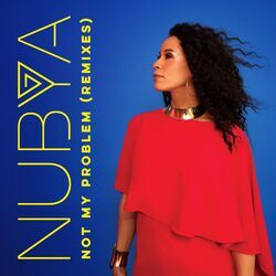 Not My Problem (Remixes)