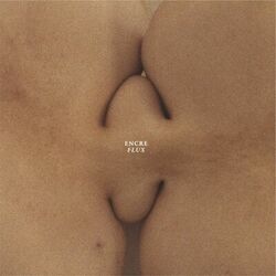 Cover of Flux