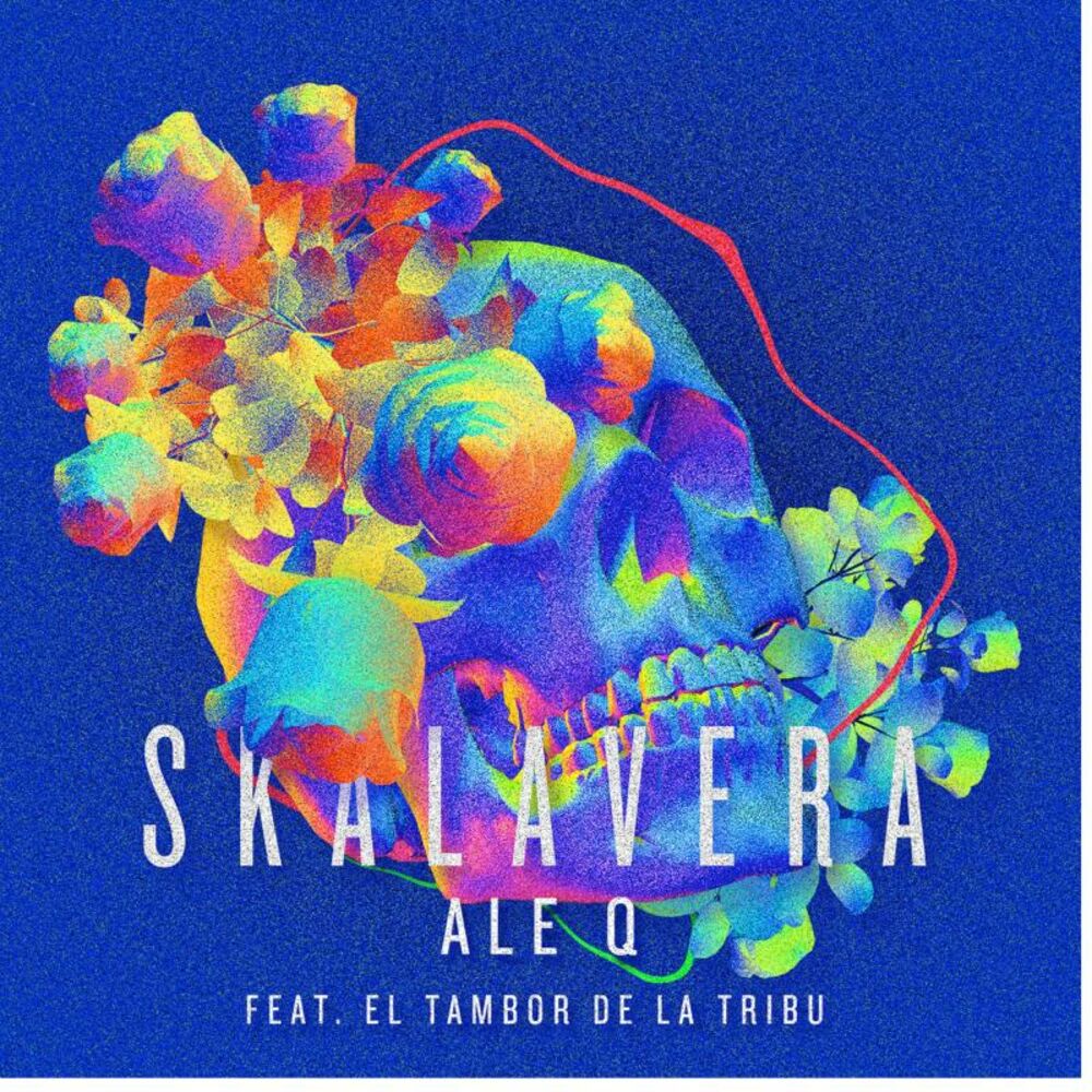 Picture of Skalavera