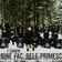 Bine fac, rele primesc