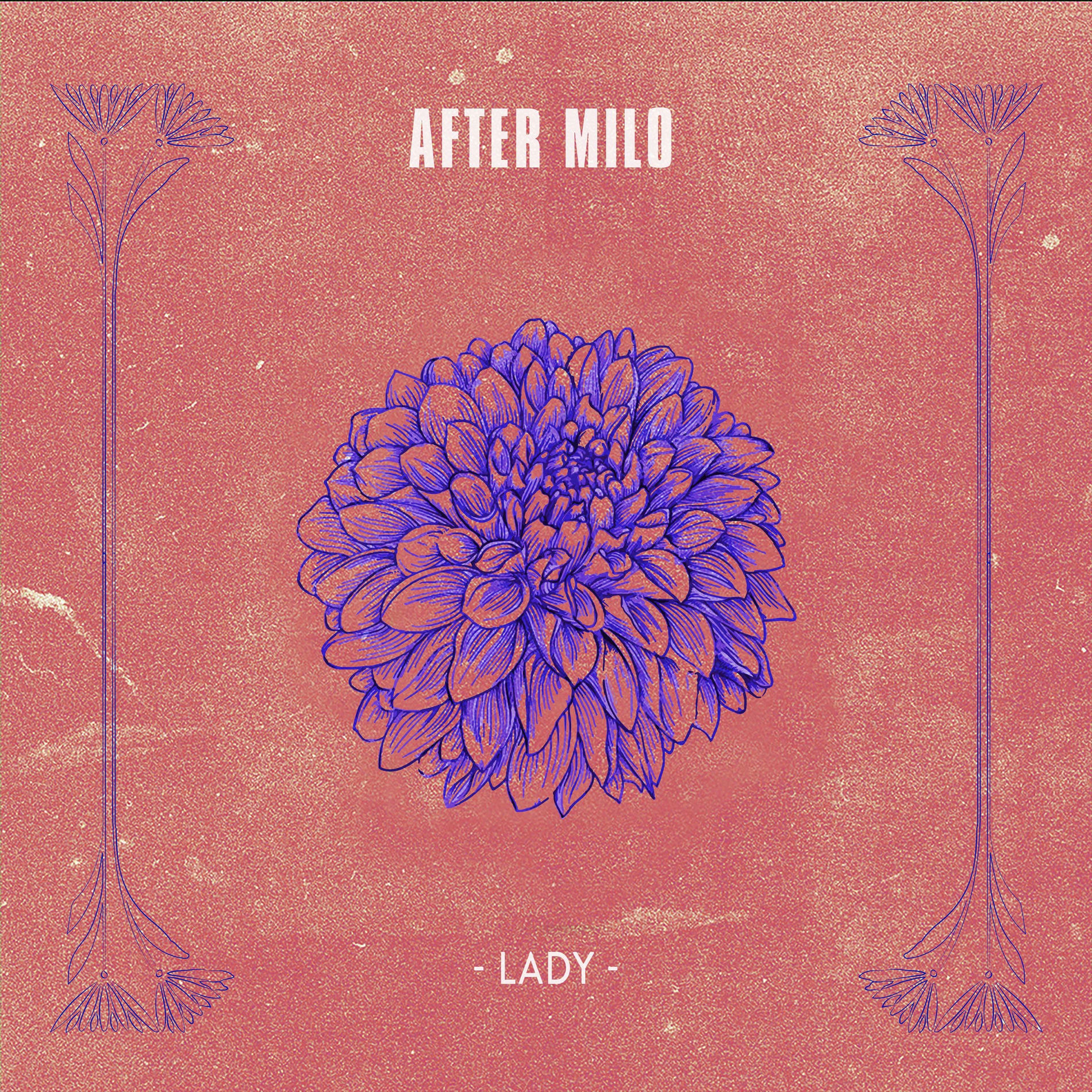 Album cover of Lady