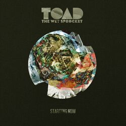 Cover of Starting Now