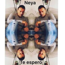 Cover of Te Espero