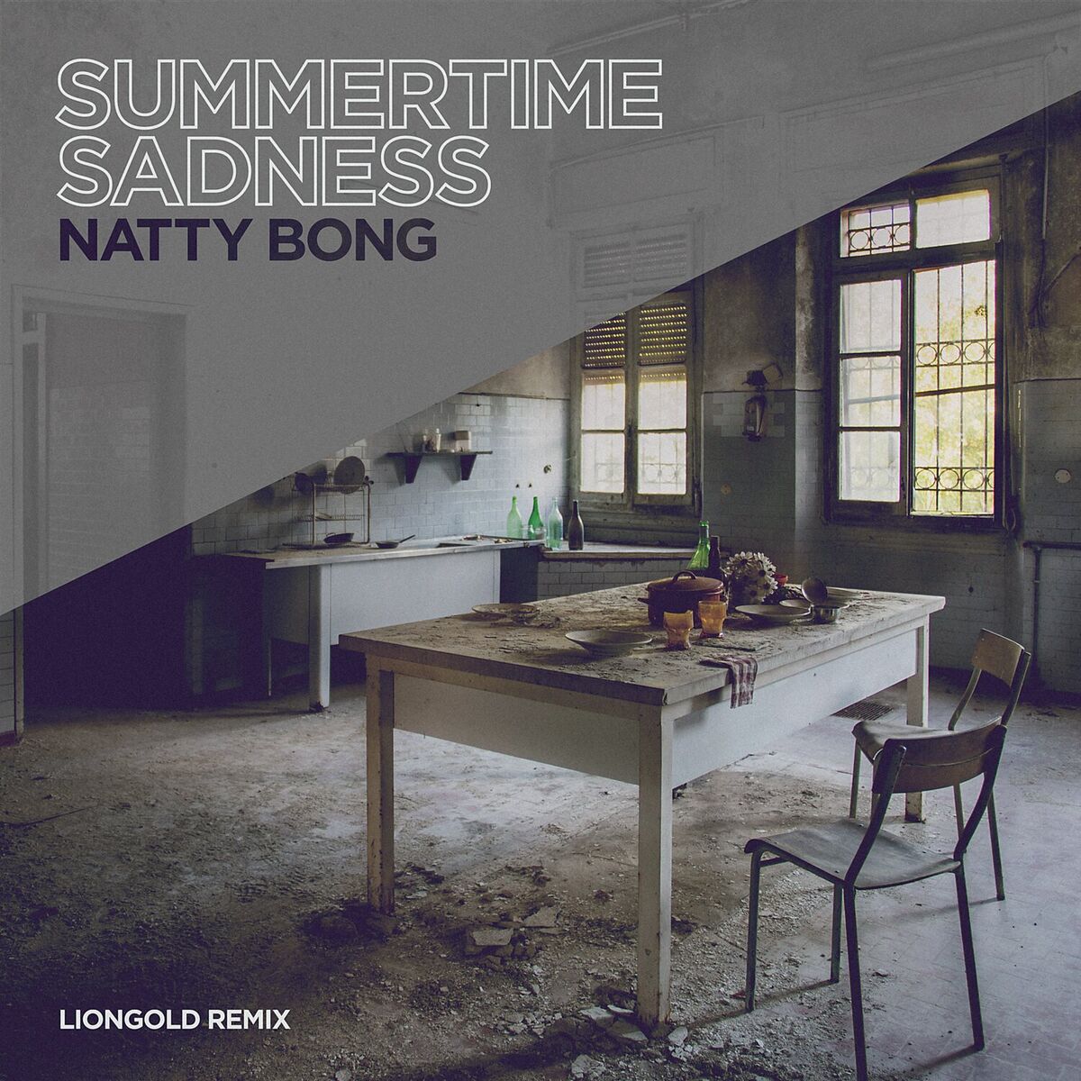 Album cover of Summertime Sadness (Liongold Remix)