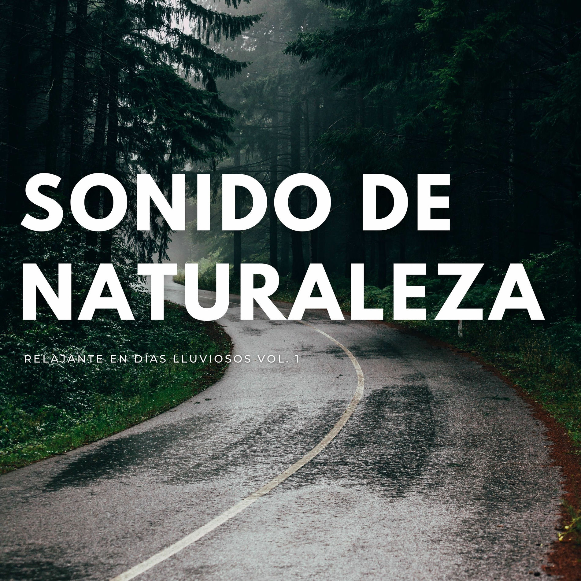 Album cover of Sonido De Naturaleza Relajante En Días Lluviosos Vol. 1