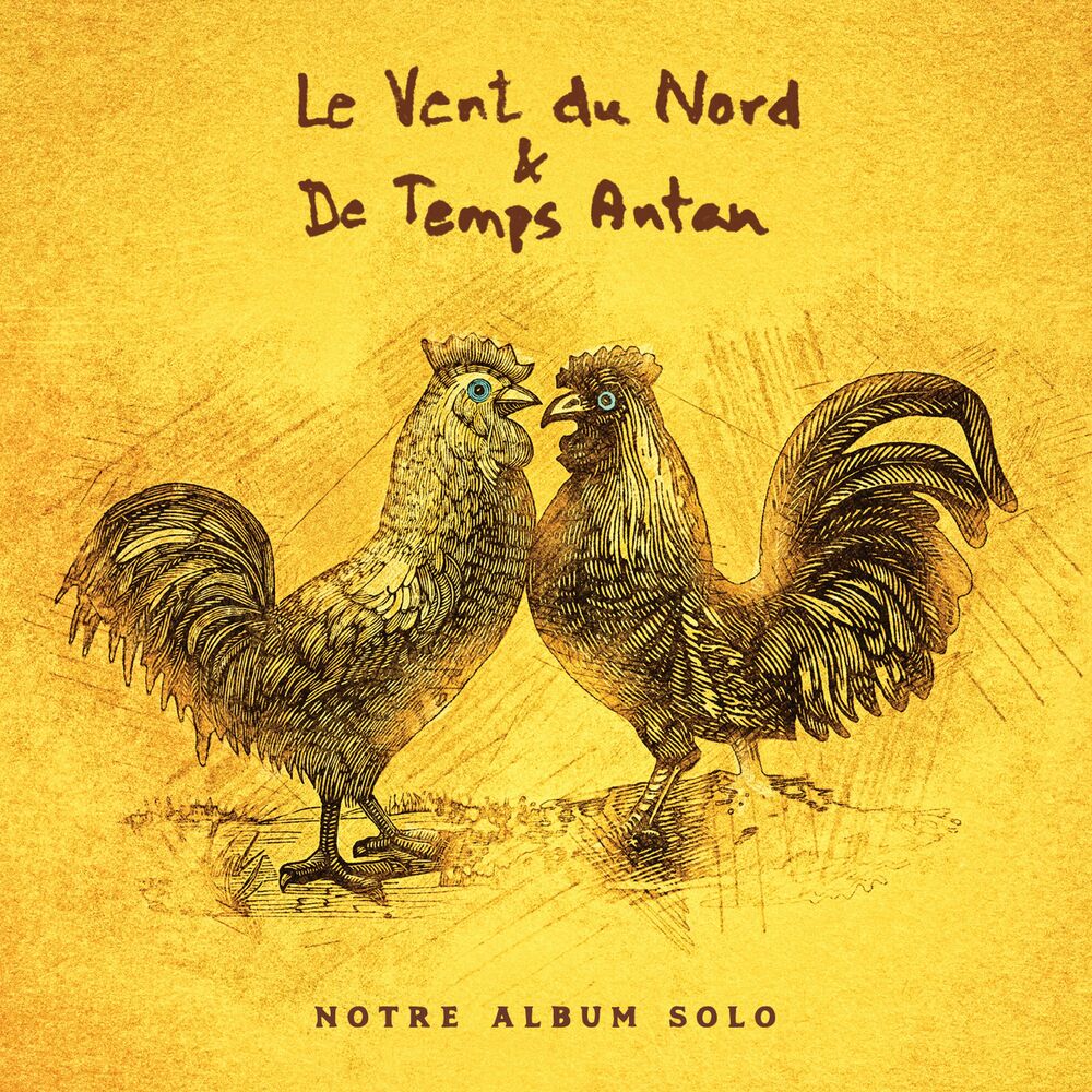 Album artwork for Camarades by Solo
