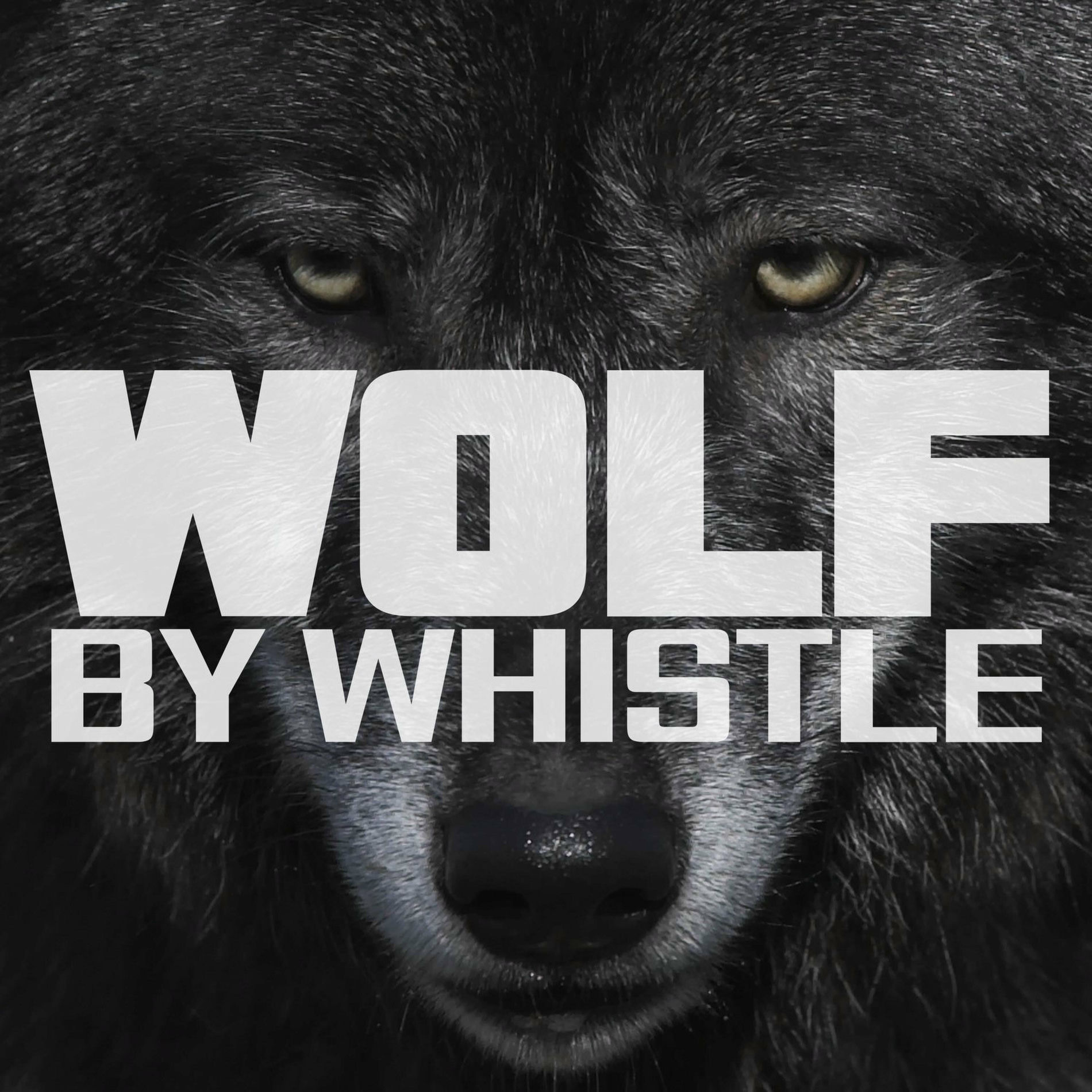 Album cover of Wolf