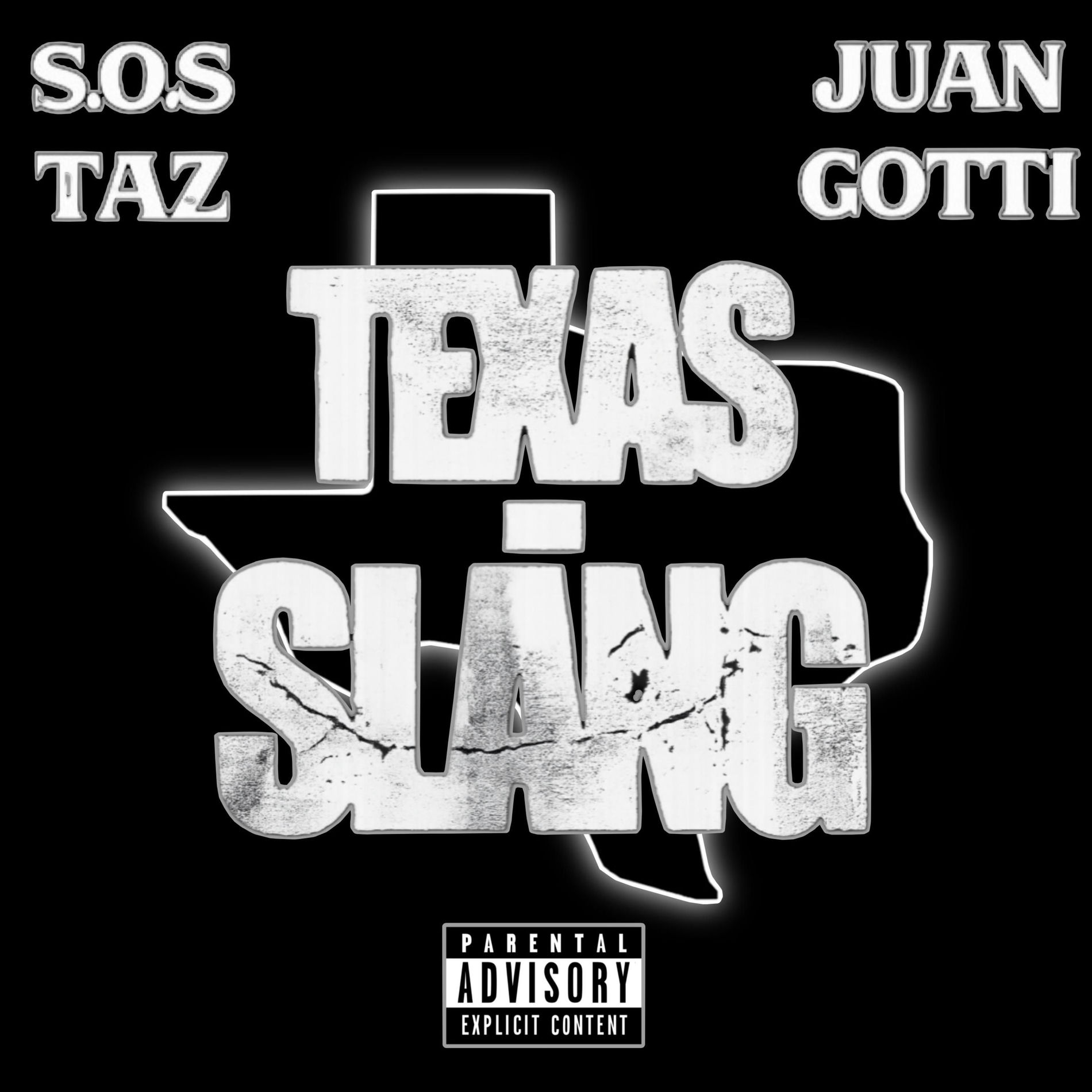 Album cover of Texas Slang
