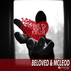 Cover of What You Won't Do For Love