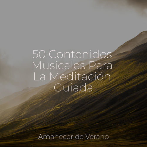 50 Contenidos Musicales Para La Meditación Guiada
