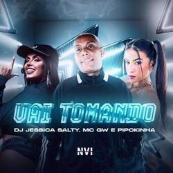Cover of Vai Tomando