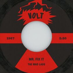 Mr. Fix It