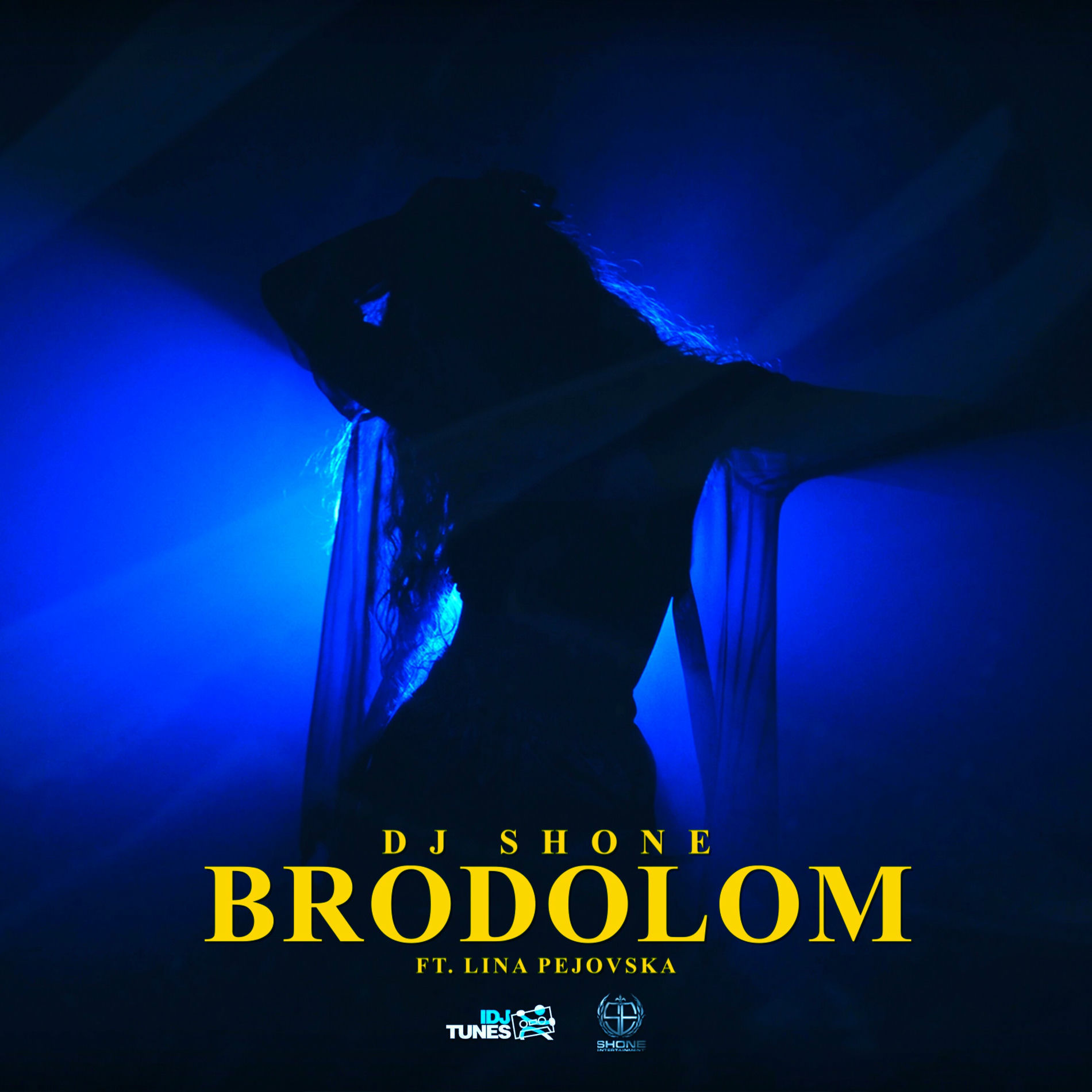 Album cover of Brodolom