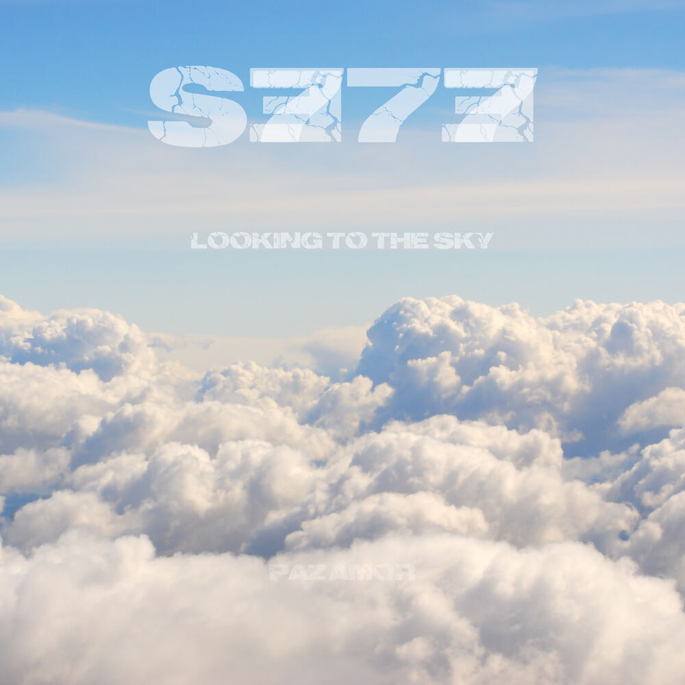 Picture of Looking to the Sky