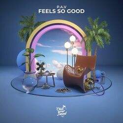 Cover of Feels so Good