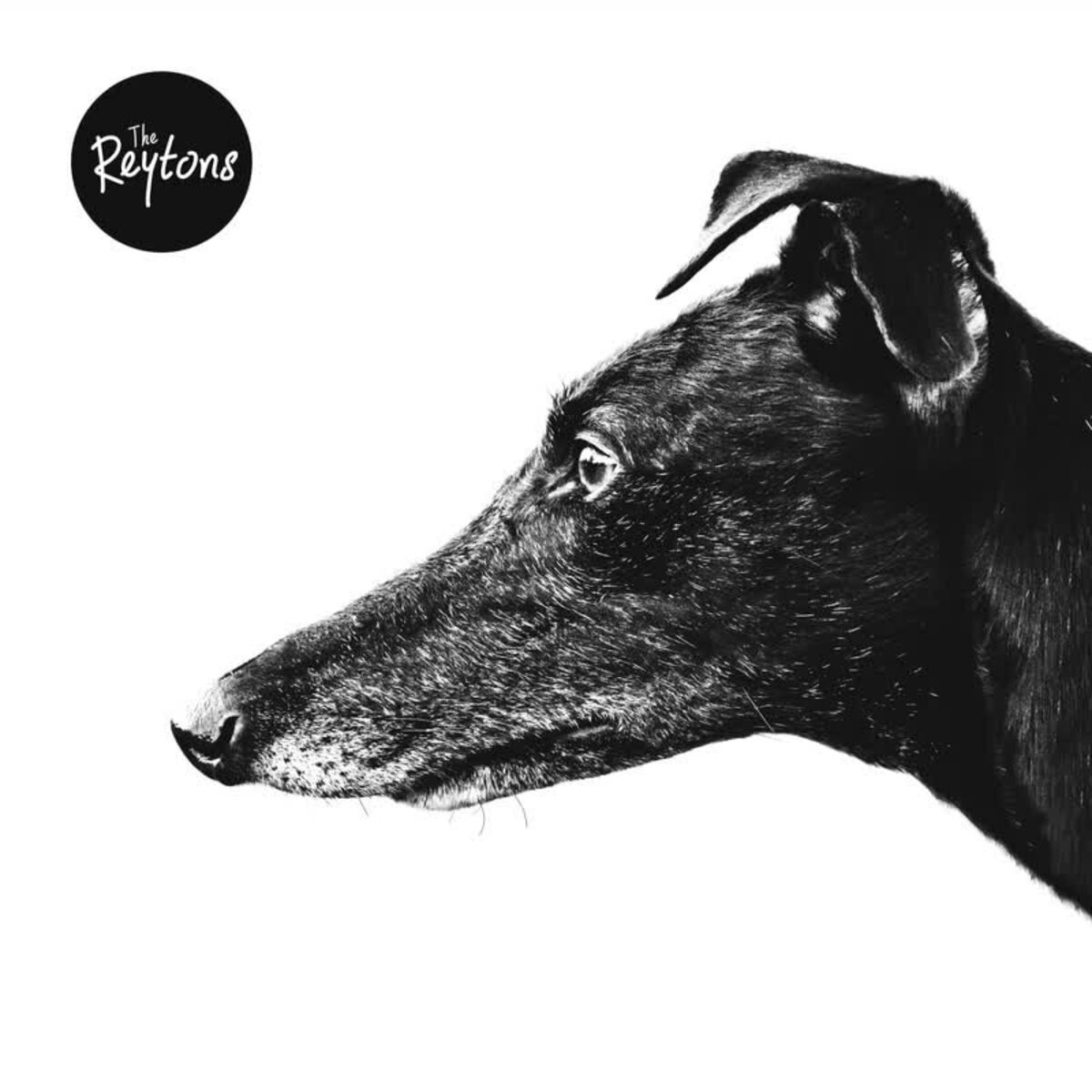 Album cover of Canine
