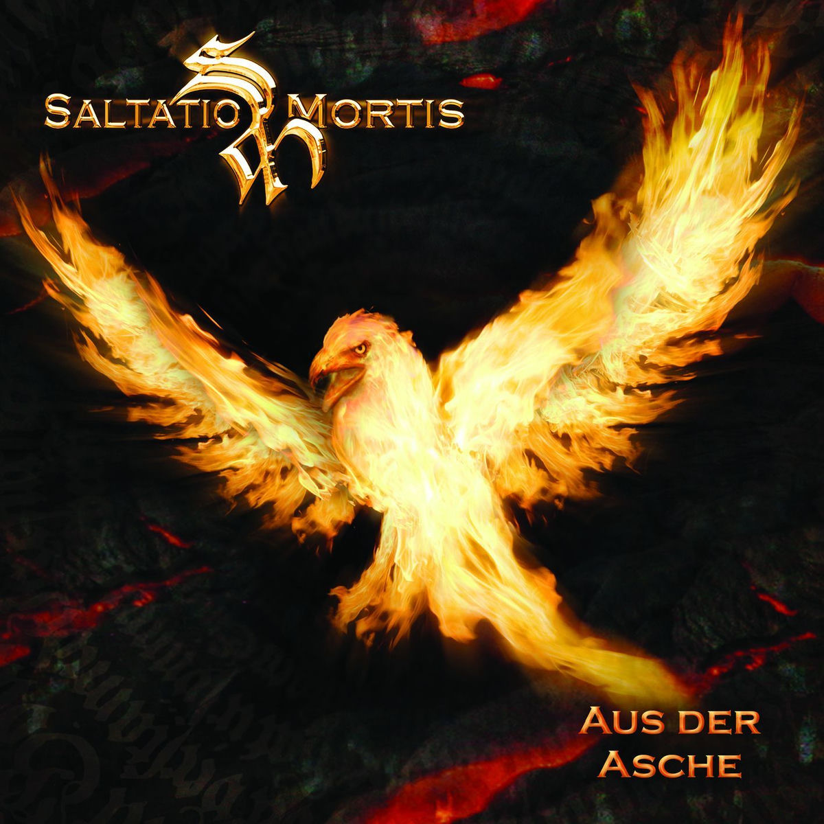 Album cover of Aus der Asche