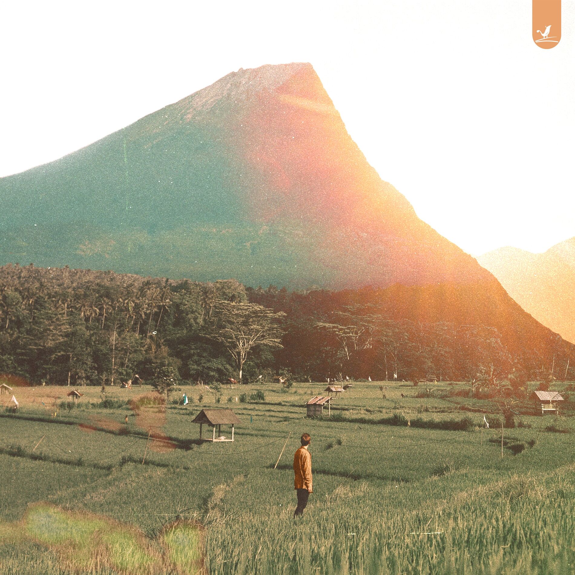 Album cover of Far Away