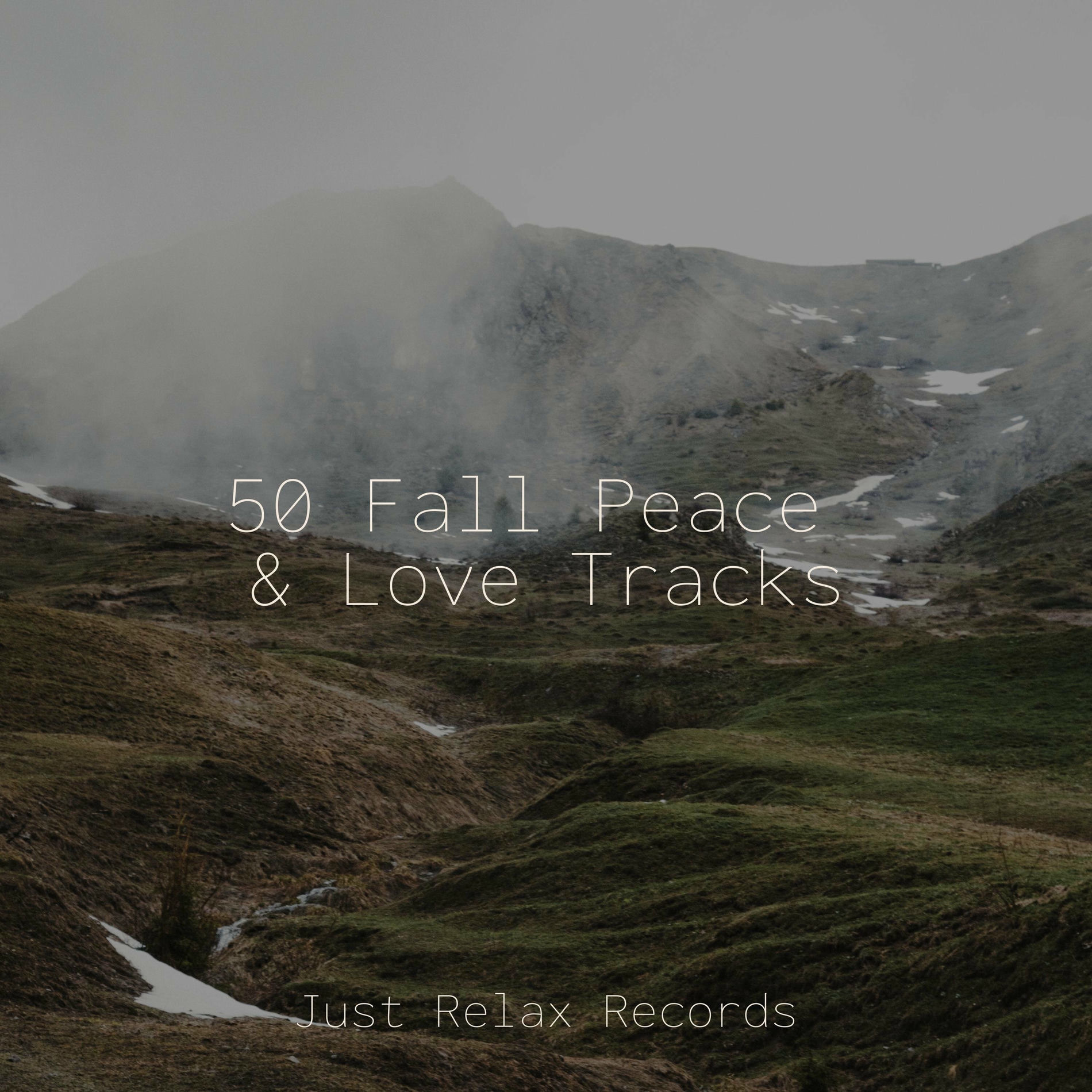 Album cover of 50 Fall Peace & Love Tracks