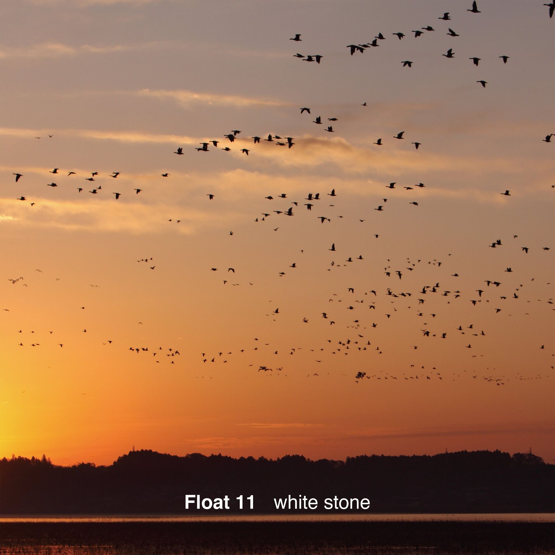 Album cover of white stone