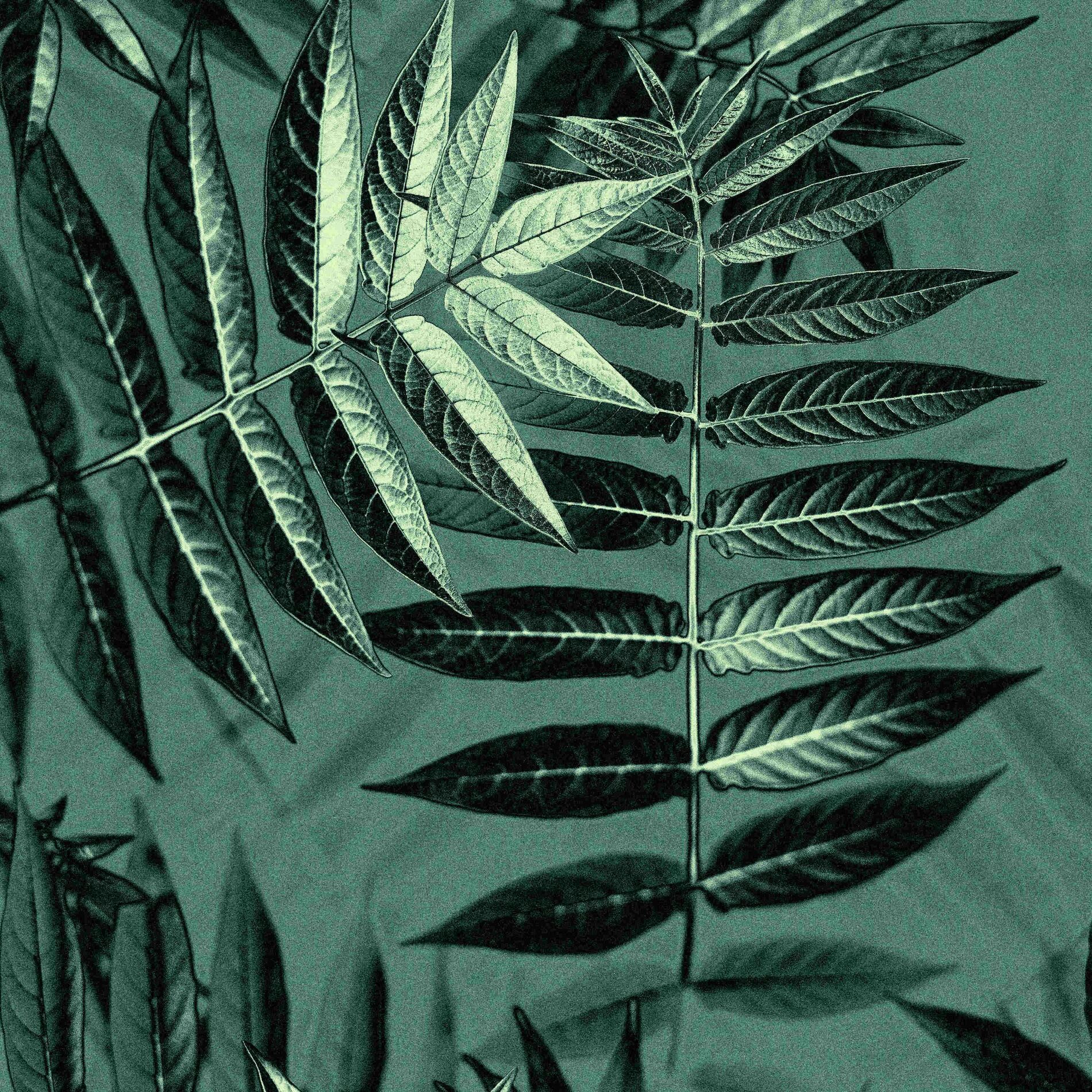 Album cover of Changing World