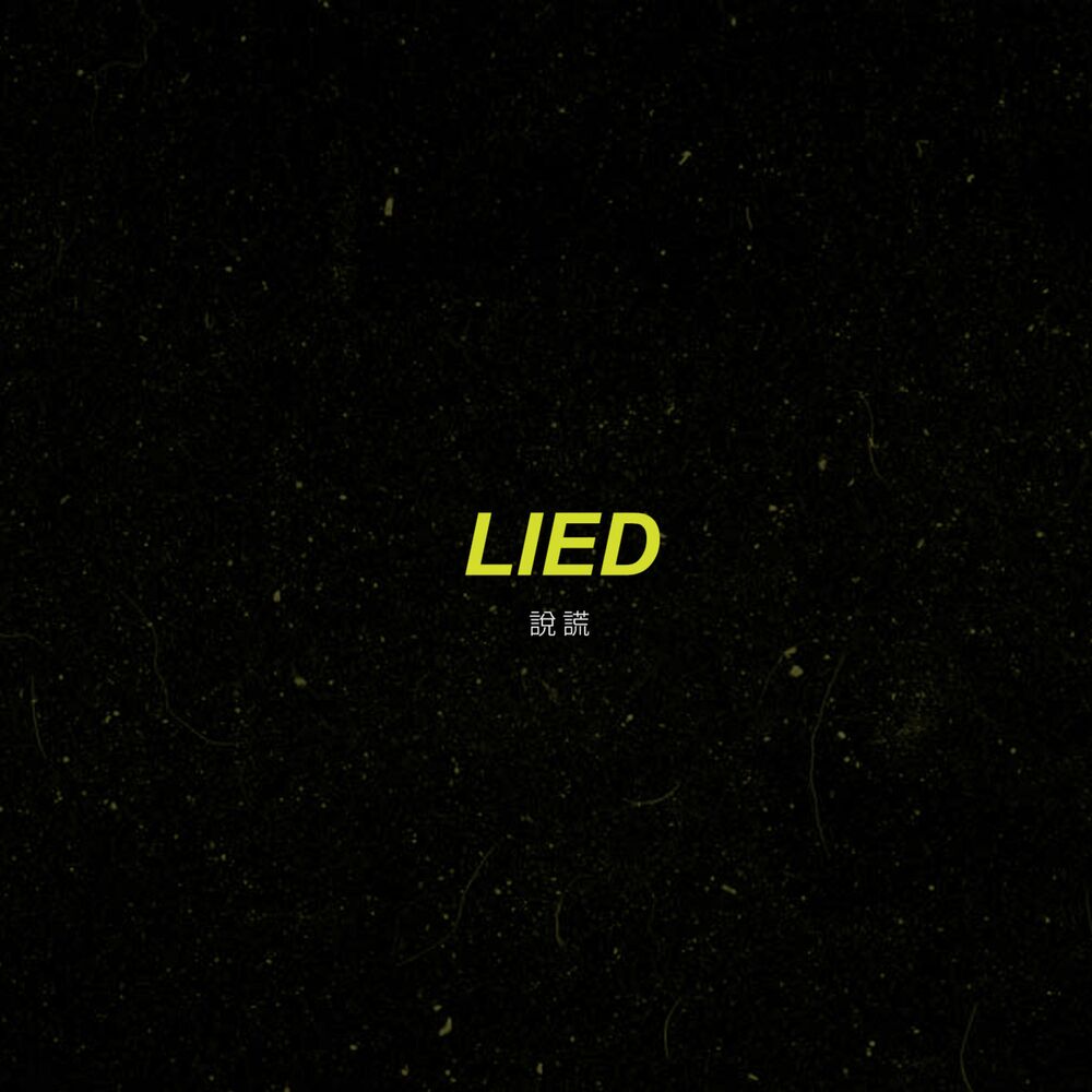 Picture of Lied (feat. Tflow)