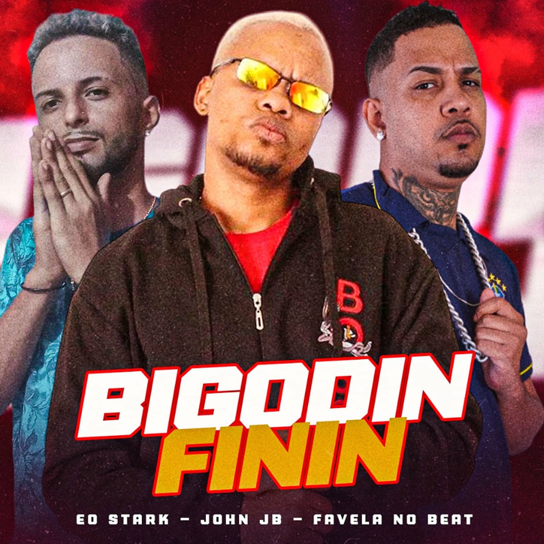 Album cover of Bigodin Finin