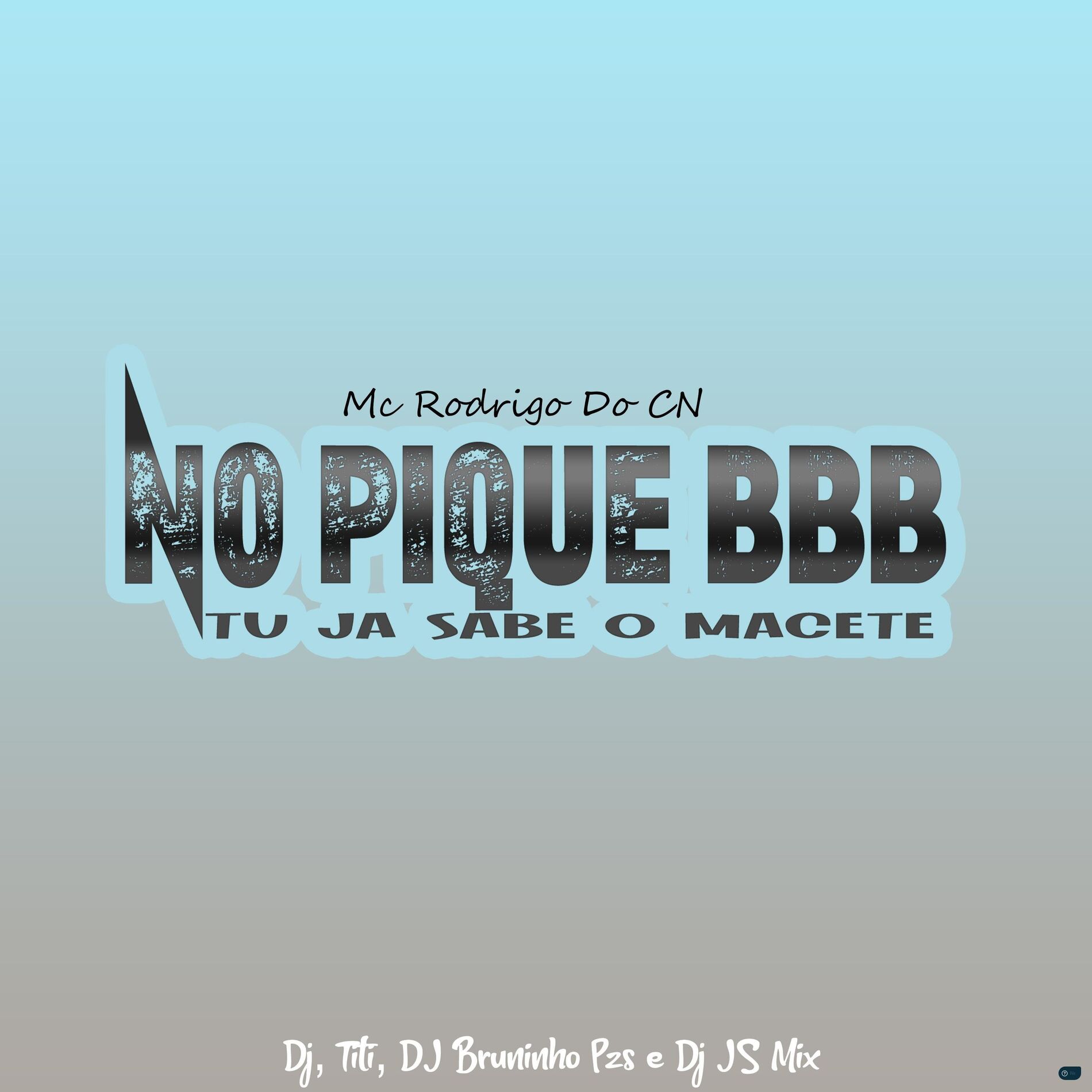 Album picture of No Pique BBB, Tu Já Sabe o Macete