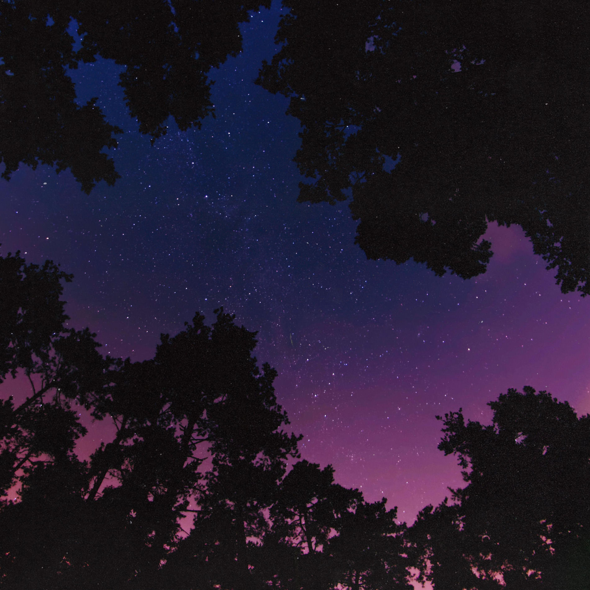 Album cover of Vidura