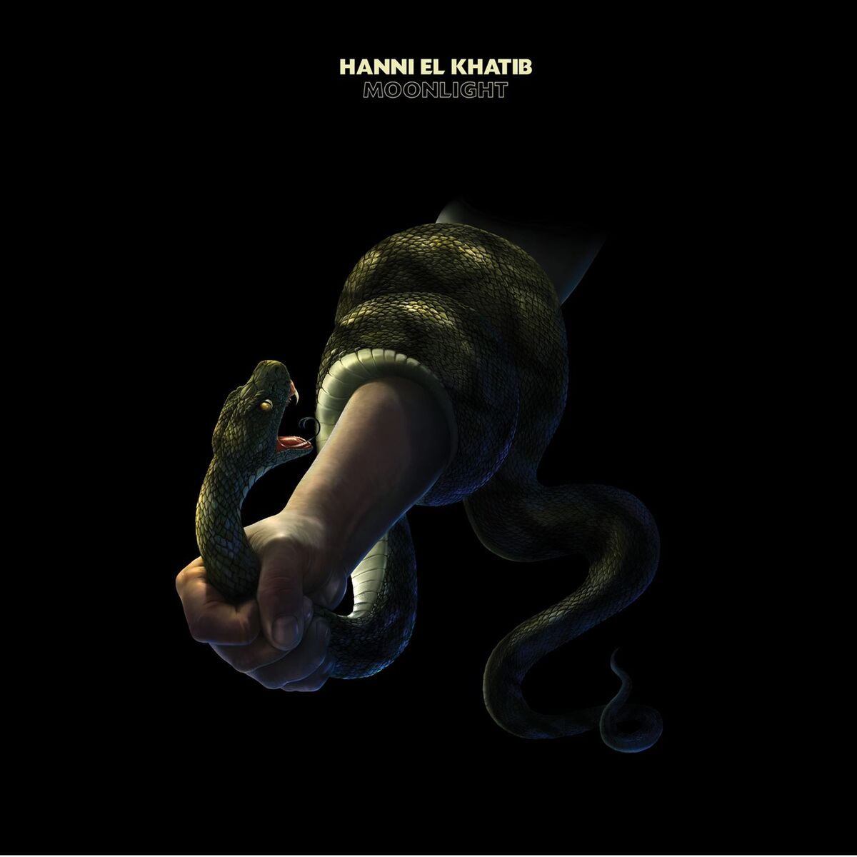 Album cover of Moonlight
