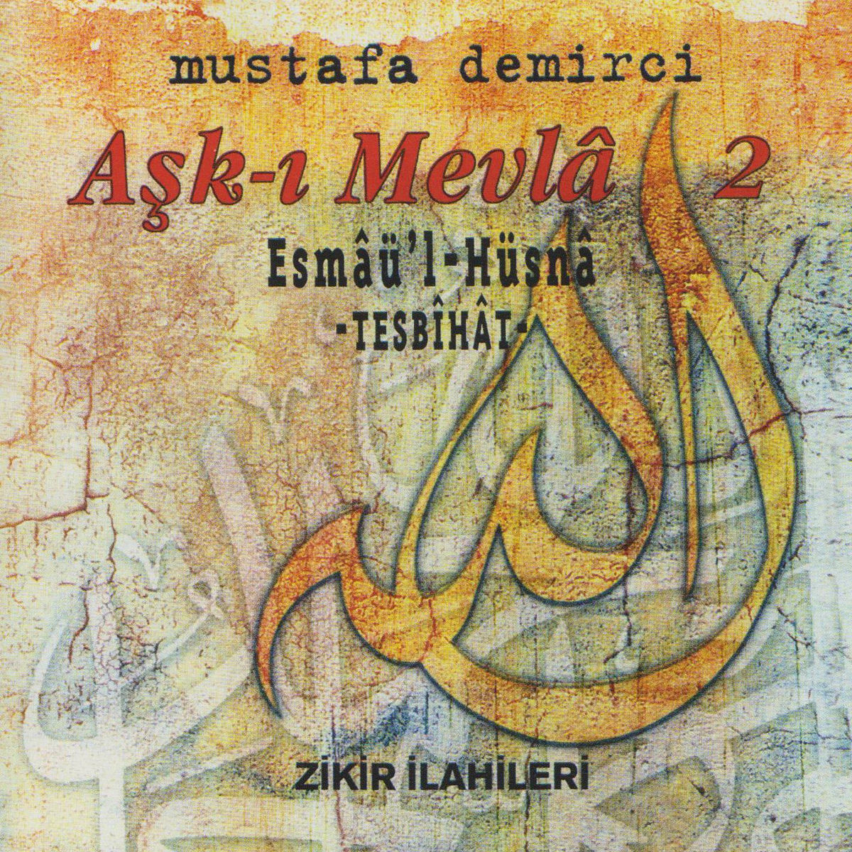 Album cover of Aşk-ı Mevla 2
