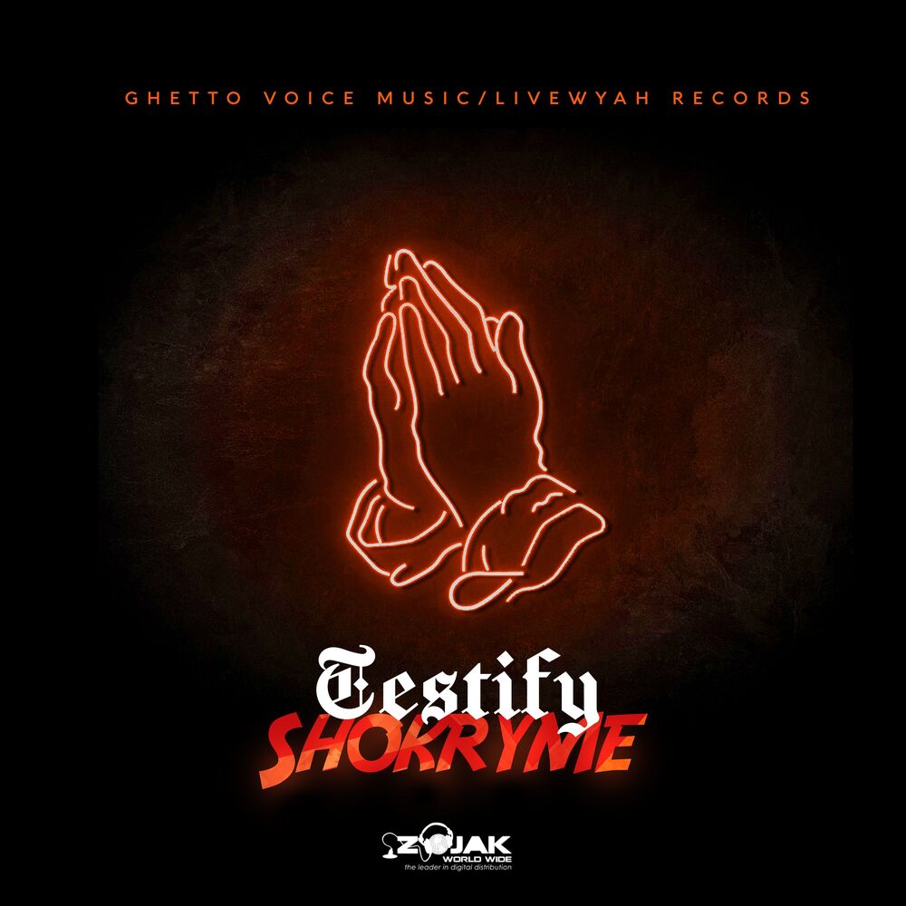 Picture of Testify