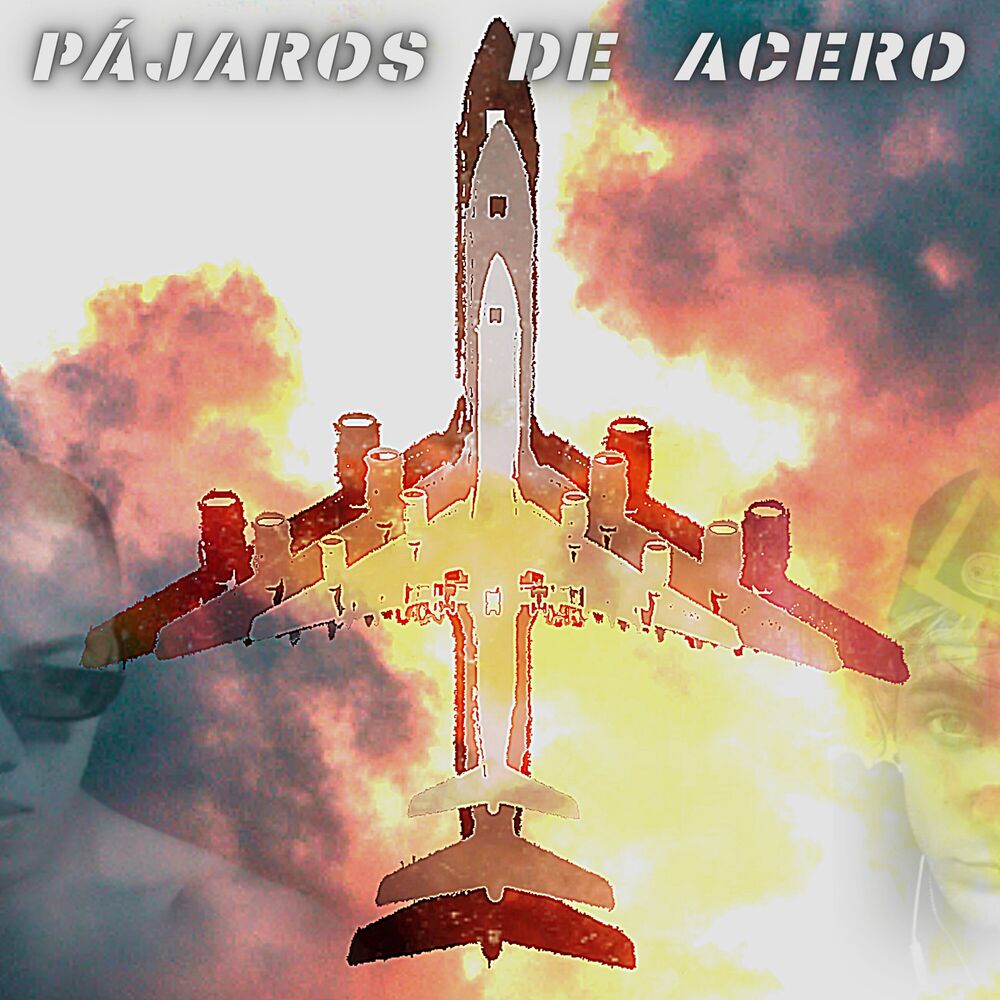 Picture of Pájaros de acero