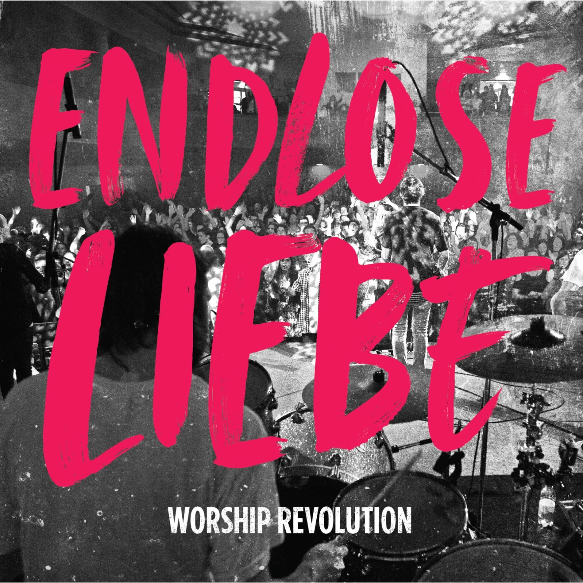Album cover of Endlose Liebe