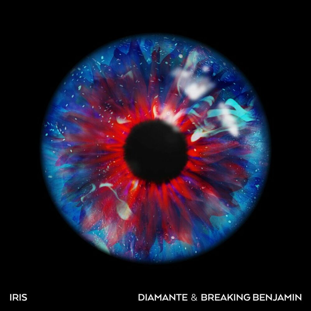 Picture of Iris