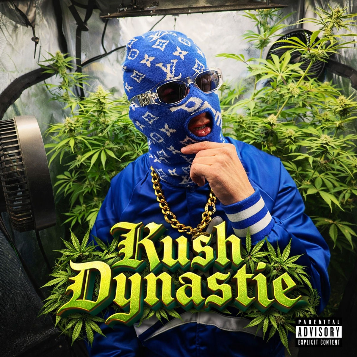 Album cover of Kush Dynastie