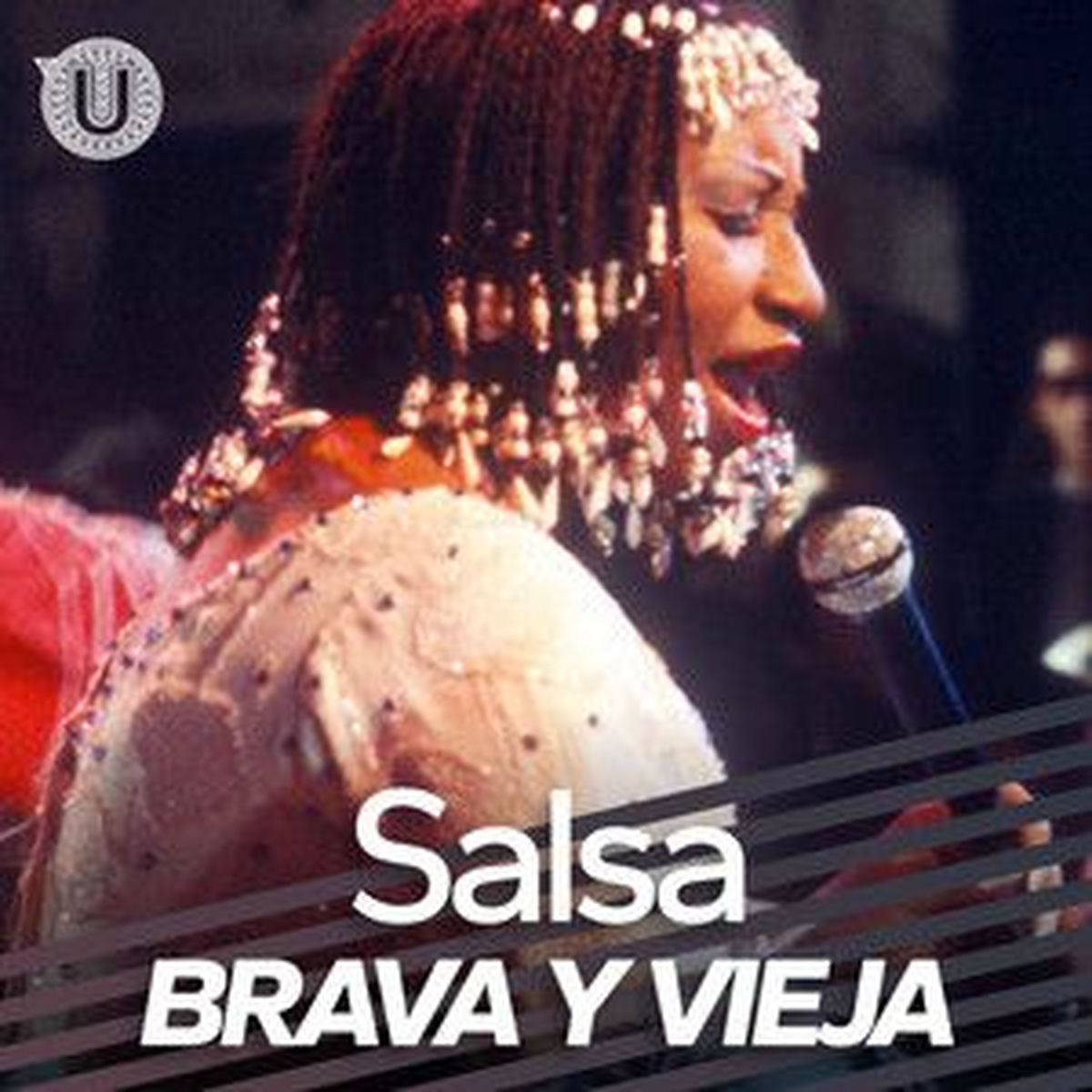 Cover of playlist Salsa Brava y Vieja