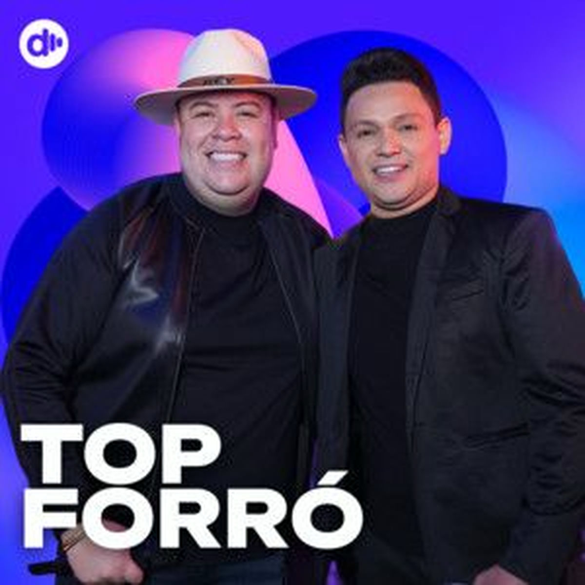 Cover of playlist TOP Forró ✨Forró 2025