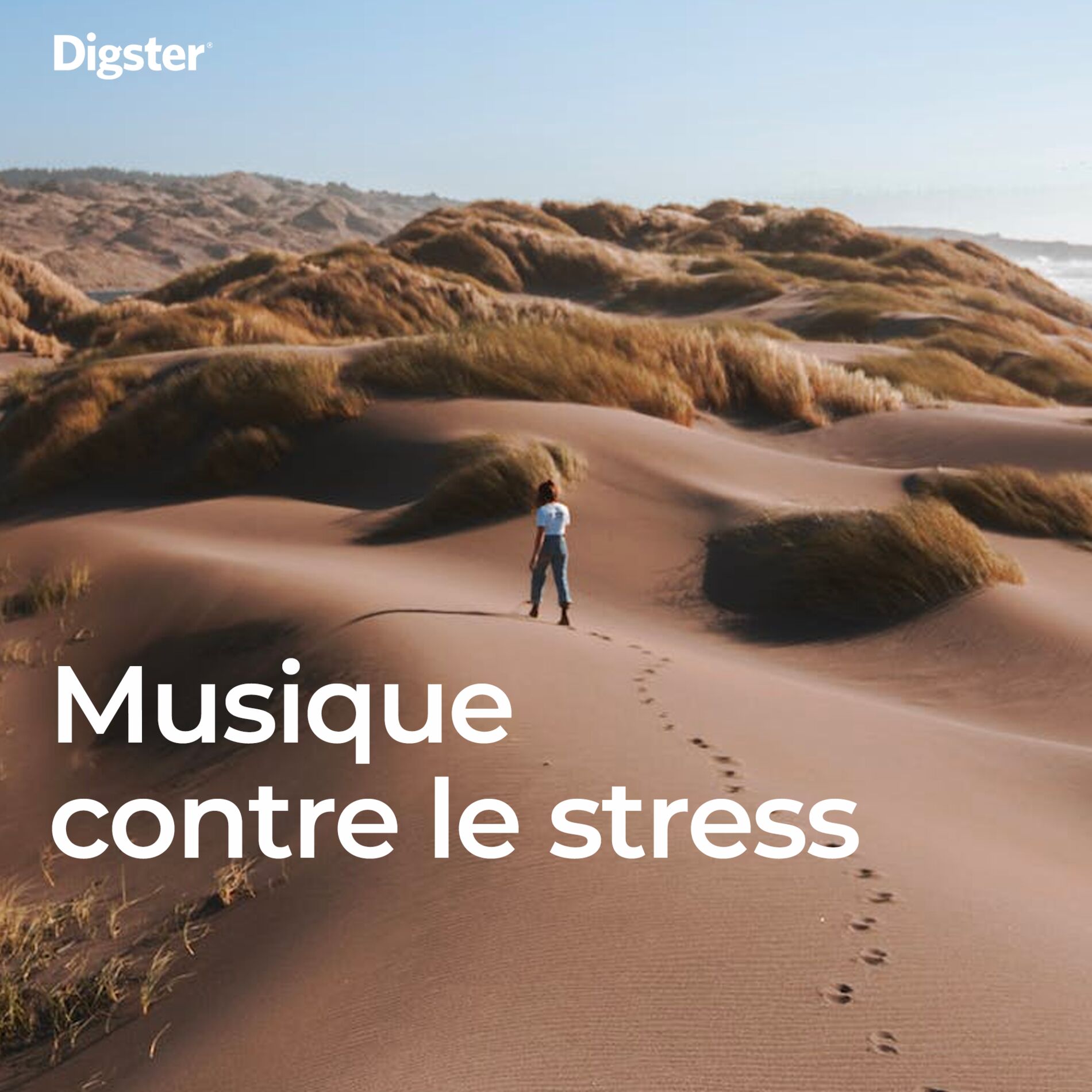 Cover of playlist Musique contre le stress : relacher la pression, s