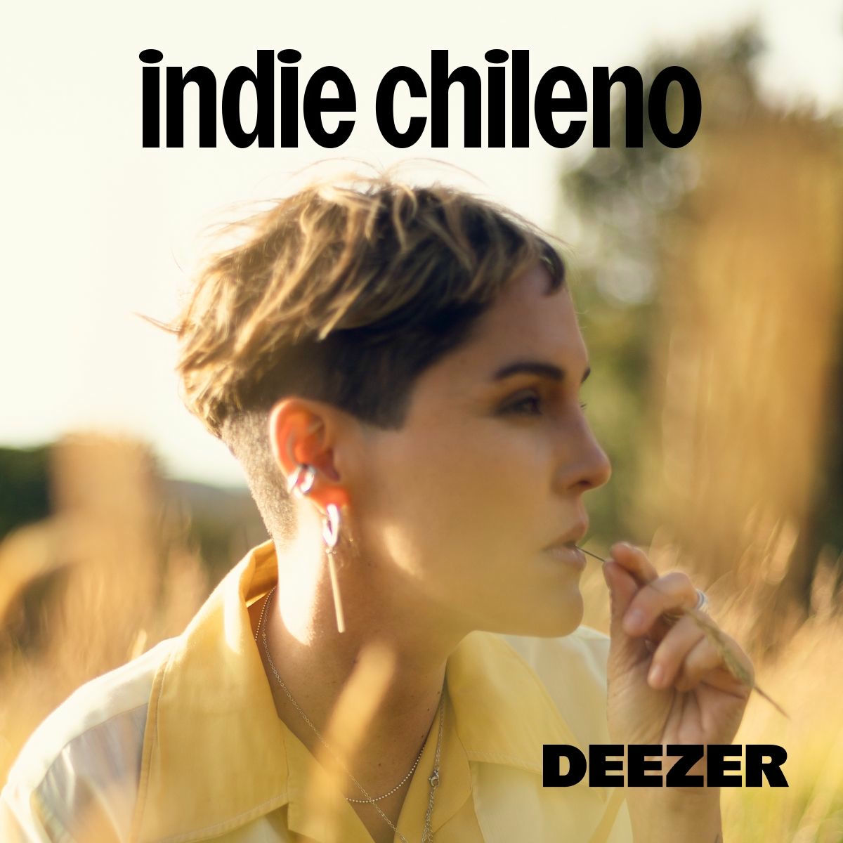 Cover of playlist indie chileno