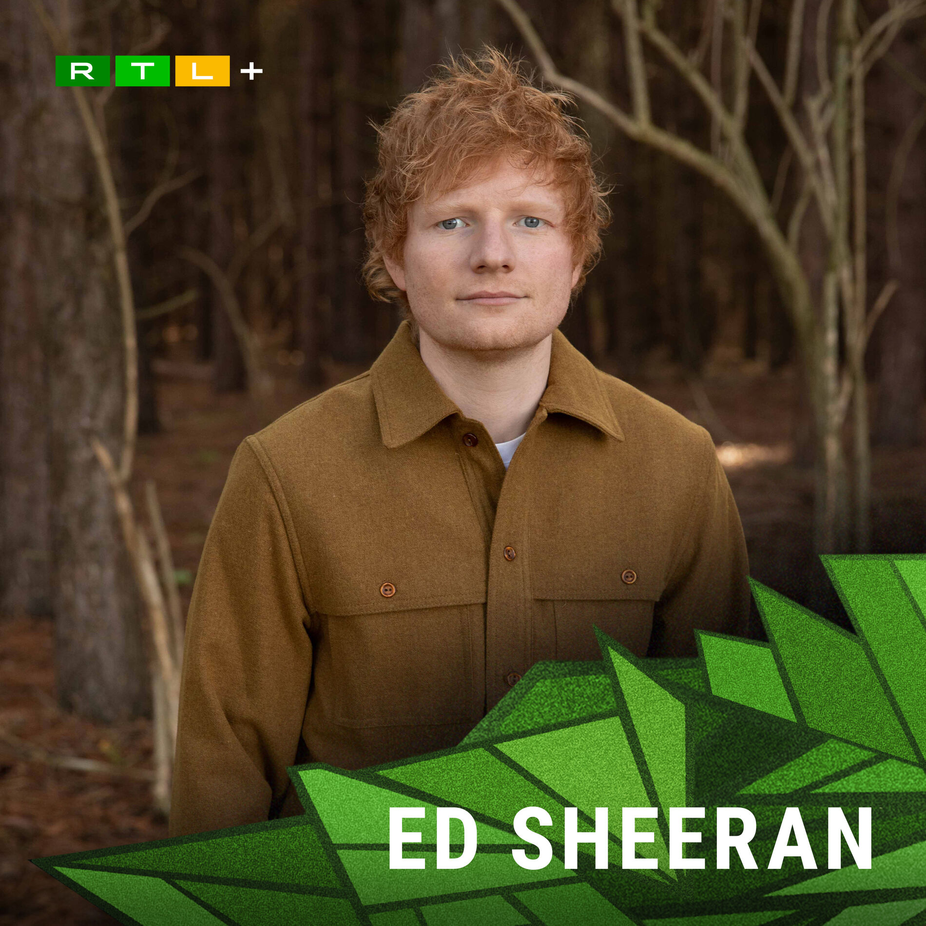 Cover of playlist Die Top Hits von Ed Sheeran