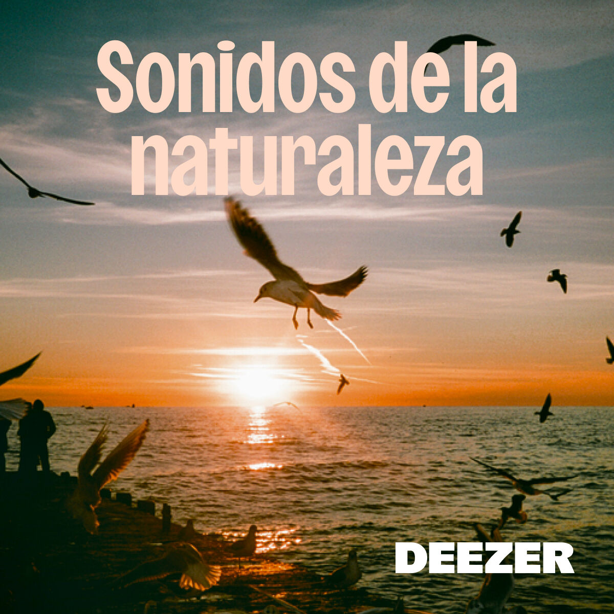 Sonidos de la naturaleza