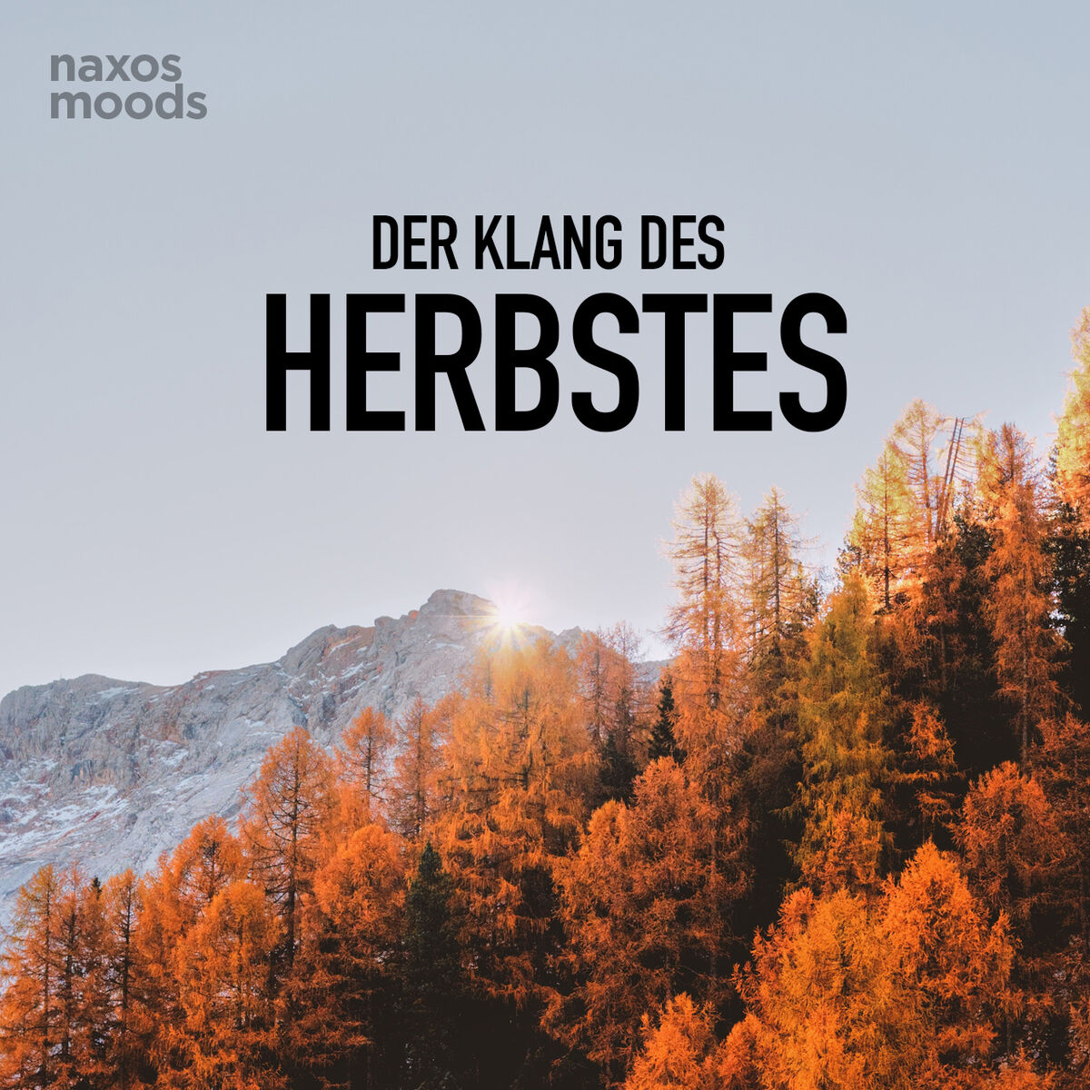 Cover of playlist Der Klang des Herbstes